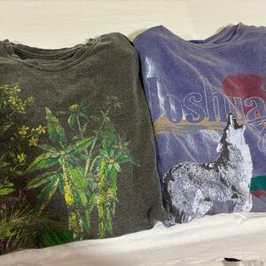 2 Urban Outfitters Graphic Short Sleeve Tees - Gray and Purple